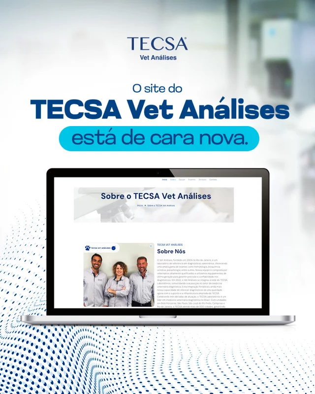 O site do TECSA Vet Análises está de cara nova!

Mantendo todas as funcionalidades que você já conhece, agora mais ágil, proporcionando uma experiência ainda melhor para você.

Acesse e confira: www.vetanalises.com.br

#tecsa #vetanálises #tecsarj #medicinadiagnósticaveterinária #medicinaveterinária #riodejaneiro #laboratórioveterinário