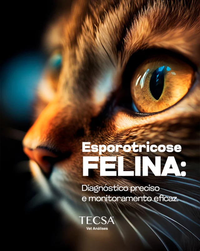 A esporotricose felina representa um desafio constante em nossa prática. Com o objetivo de otimizar o diagnóstico e o manejo desta micose, oferecemos soluções diagnósticas avançadas.

SPOROTHRIX SPP. - REAL TIME PCR QUALITATIVO (ESPOROTRICOSE) cod 2338
SPOROTHRIX SPP. - REAL TIME PCR QUANTITATIVO (ESPOROTRICOSE) cod 2339
SPOROTHRIX SPP - IGG COM TITULACAO cod 856

Para mais informações sobre nossos serviços e como podemos auxiliar em sua prática, entre em contato: (21) 2205-1316 

#tecsa #vetanálises #tecsarj #medicinadiagnósticaveterinária #medicinaveterinária #riodejaneiro #laboratórioveterinário #esporotricose #sporothrix