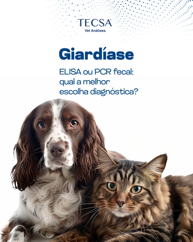 A giardíase é uma causa comum de diarreia em cães e gatos, mas o diagnóstico nem sempre é simples. ELISA fecal: Detecta antígenos de Giardia, sendo rápido e ideal para triagem. Alta sensibilidade, mesmo em amostras sem cistos.

PCR fecal: Método molecular com alta especificidade, indicado para confirmação diagnóstica ou em casos crônicos e intermitentes.

Para maior assertividade, o ideal é combinar técnicas ou realizar coletas seriadas.

GIARDIA SP – AG cod 230
GIARDIA SPP - REAL TIME PCR QUALITATIVO cod 832
GIARDIA SPP - REAL TIME PCR QUANTITATIVO cod 2337

#tecsa #vetanálises #tecsarj #medicinadiagnósticaveterinária #medicinaveterinária #riodejaneiro #laboratórioveterinário