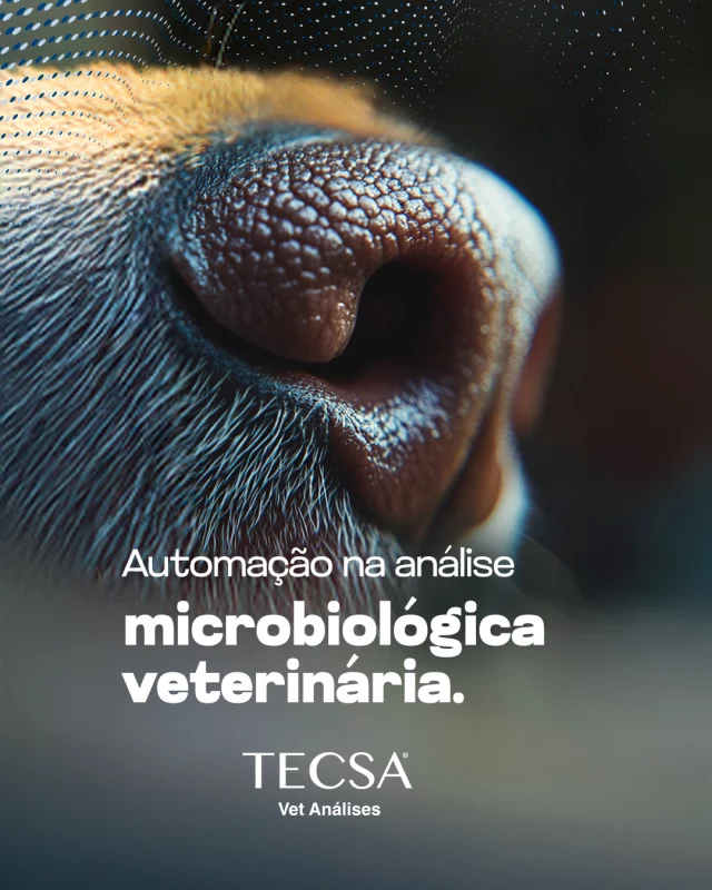 Na rotina clínica, um diagnóstico rápido e confiável faz toda a diferença. Deslize a tela e confira os diferenciais.

Com diagnósticos mais rápidos, precisos e confiáveis, o clínico ganha confiança nas decisões terapêuticas, melhora a eficácia dos tratamentos e aumenta a satisfação dos tutores.

A automação é mais que um investimento em tecnologia: é um compromisso com a saúde animal, o bem-estar e a eficiência nos cuidados veterinários.

#tecsa #vetanálises #tecsarj #medicinadiagnósticaveterinária #medicinaveterinária #riodejaneiro #laboratórioveterinário