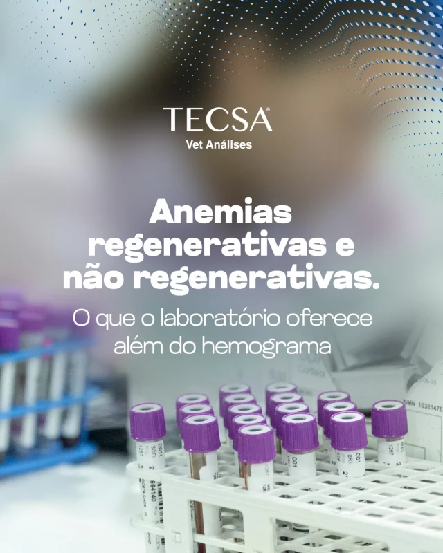A diferenciação entre anemias regenerativas e não regenerativas é crucial para o diagnóstico etiológico.

Contagem de reticulócitos: Essencial para classificar a anemia e guiar a investigação clínica.

Esfregaço sanguíneo: Detecta hemoparasitas, policromasia, corpúsculos de Howell-Jolly e alterações morfológicas.

CONTAGEM DE RETICULOCITOS  cod 251

#tecsa #vetanálises #tecsarj #medicinadiagnósticaveterinária #medicinaveterinária #riodejaneiro #laboratórioveterinário